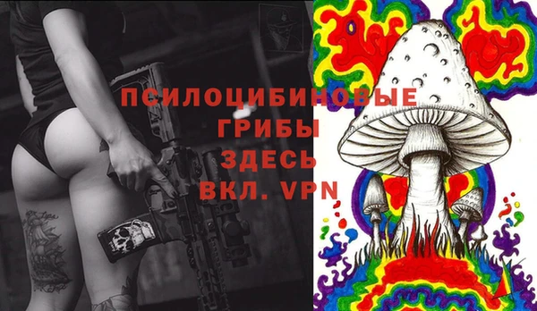 бутират Алзамай